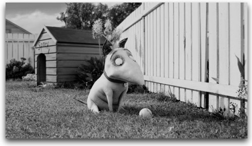 Frankenweenie