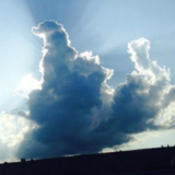 godzilla_20150817.png