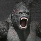 kong_20160725.png